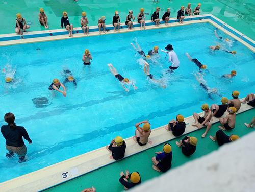 IMG_20250616_110607570_MFNR.jpg