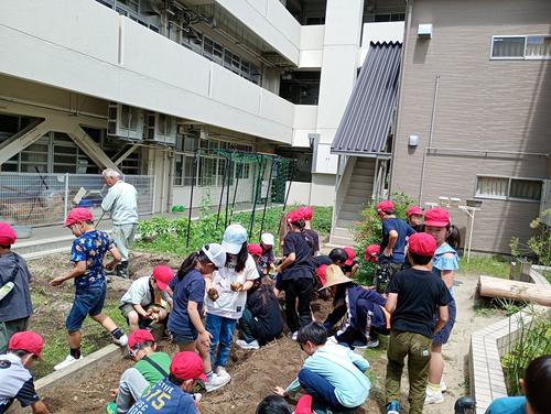 IMG_20250617_134256811_MFNR.jpg