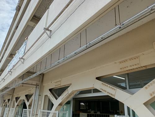 IMG_20250618_101457416_HDR.jpg