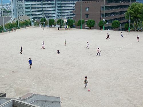 IMG_20250625_102743502_MFNR.jpg
