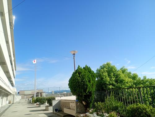 IMG_20250912_082603889_MFNR.jpg