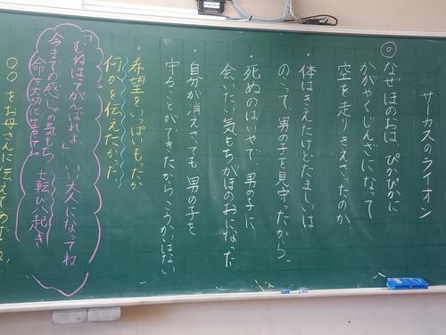 IMG_20251009_111058157_MFNR.jpg