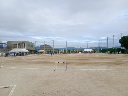 IMG_20251012_075502762_MFNR.jpg