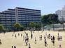 IMG_0503.jpeg