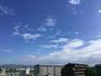 IMG_1037.jpeg