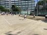 IMG_1103.jpeg