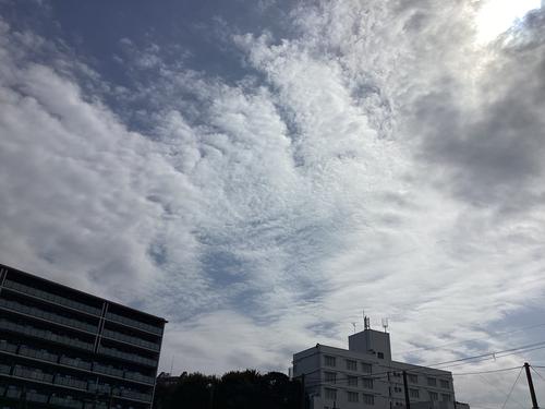 IMG_0023.jpeg