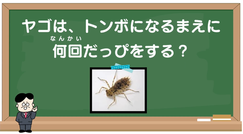 スクリーンショット 2025-07-11 132254.png