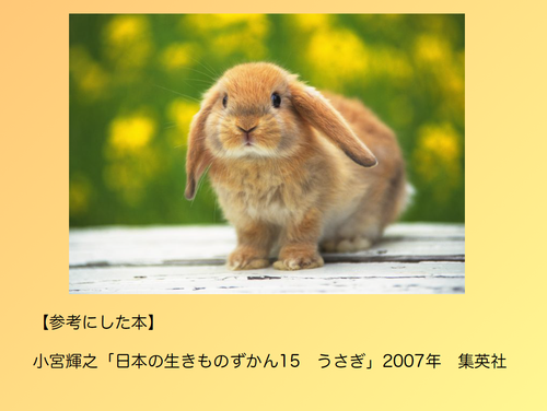 スクリーンショット 2025-06-13 085726.png