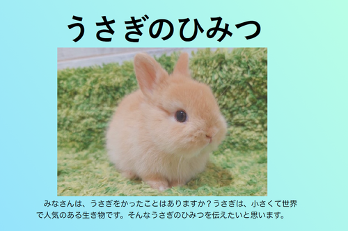スクリーンショット 2025-06-13 085645.png