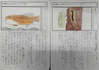 スクリーンショット 2025-05-21 113735.png