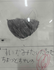 スクリーンショット 2026-05-21 131531.png