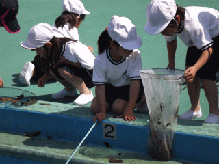 image11.gif