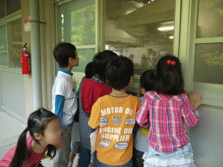 image5_2.gif
