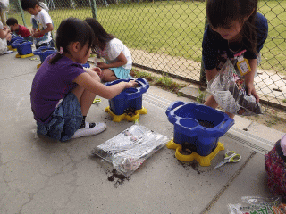 image7.gif