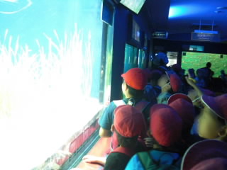 水族園１.jpg