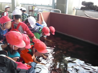 水族園２.jpg