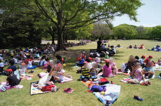 image20_3.gif