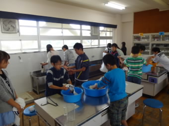 洗濯１.jpg