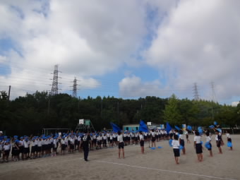 青組.jpg