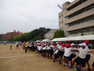 9.JPG
