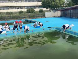 IMG_3777.jpeg