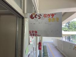 IMG_0435.jpeg