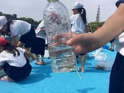 IMG_3782.jpeg