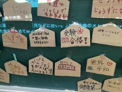 IMG_0449.jpeg