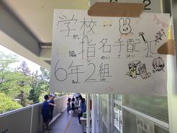 IMG_0451.jpeg