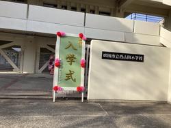 IMG_0009.jpeg