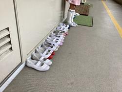 IMG_0165.jpeg