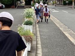 IMG_0194.jpeg