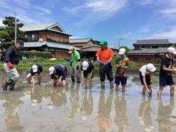IMG_0363.jpeg