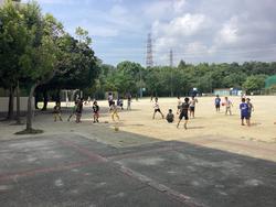 IMG_0660.jpeg