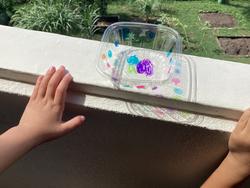IMG_0811.jpeg