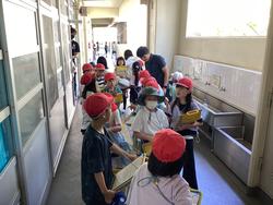 IMG_0852.jpeg