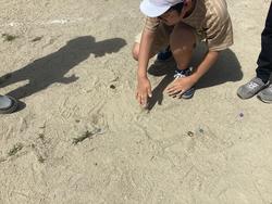 IMG_0994.jpeg