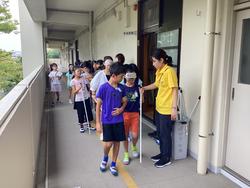 IMG_1101.jpeg