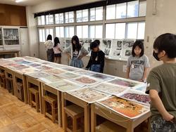 IMG_1231.jpeg