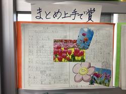IMG_1237.jpeg