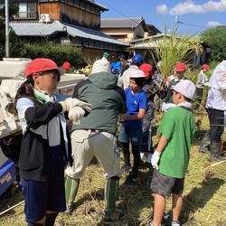 IMG_1325.jpeg