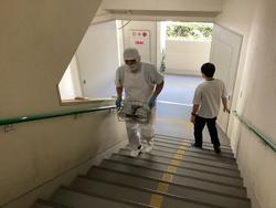 IMG_1332.jpeg
