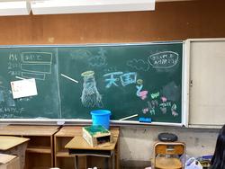 IMG_1362.jpeg