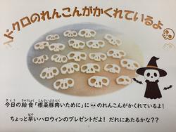 IMG_1579.jpeg