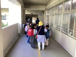 IMG_3667.jpeg