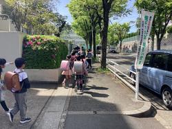 IMG_3675.jpeg