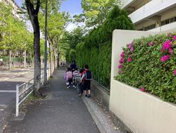 IMG_3683.jpeg