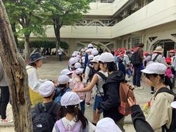 IMG_3701.jpeg