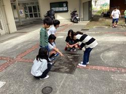 IMG_3709.jpeg